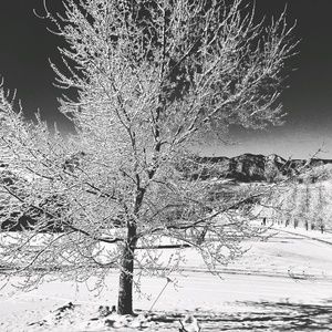 Meet your Posher, Charlotte